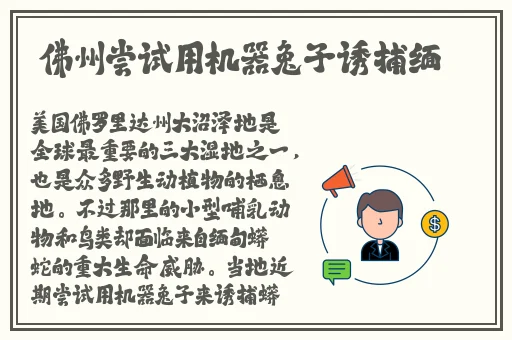 Zoom与动物Zoom最新版本